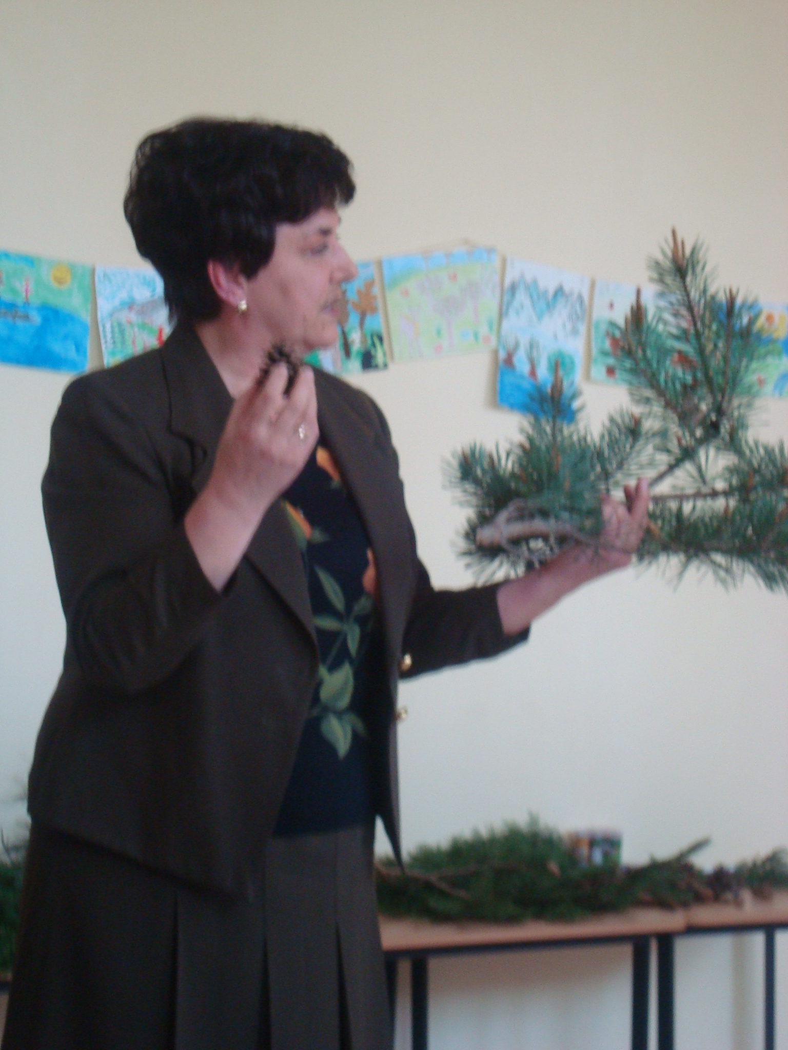 Госпожа Кузманова разяснява разликата между отделните видове иглолистни видове в района